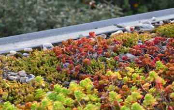the cost of Fishersgate green roof installation