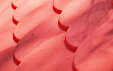 Fishersgate plastic roof costs