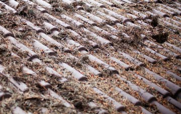 Fishersgate roof cleaning companies