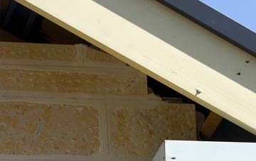 soffit repair Fishersgate