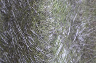 Fishersgate fibreglass roof work